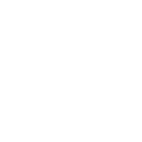 集团实力